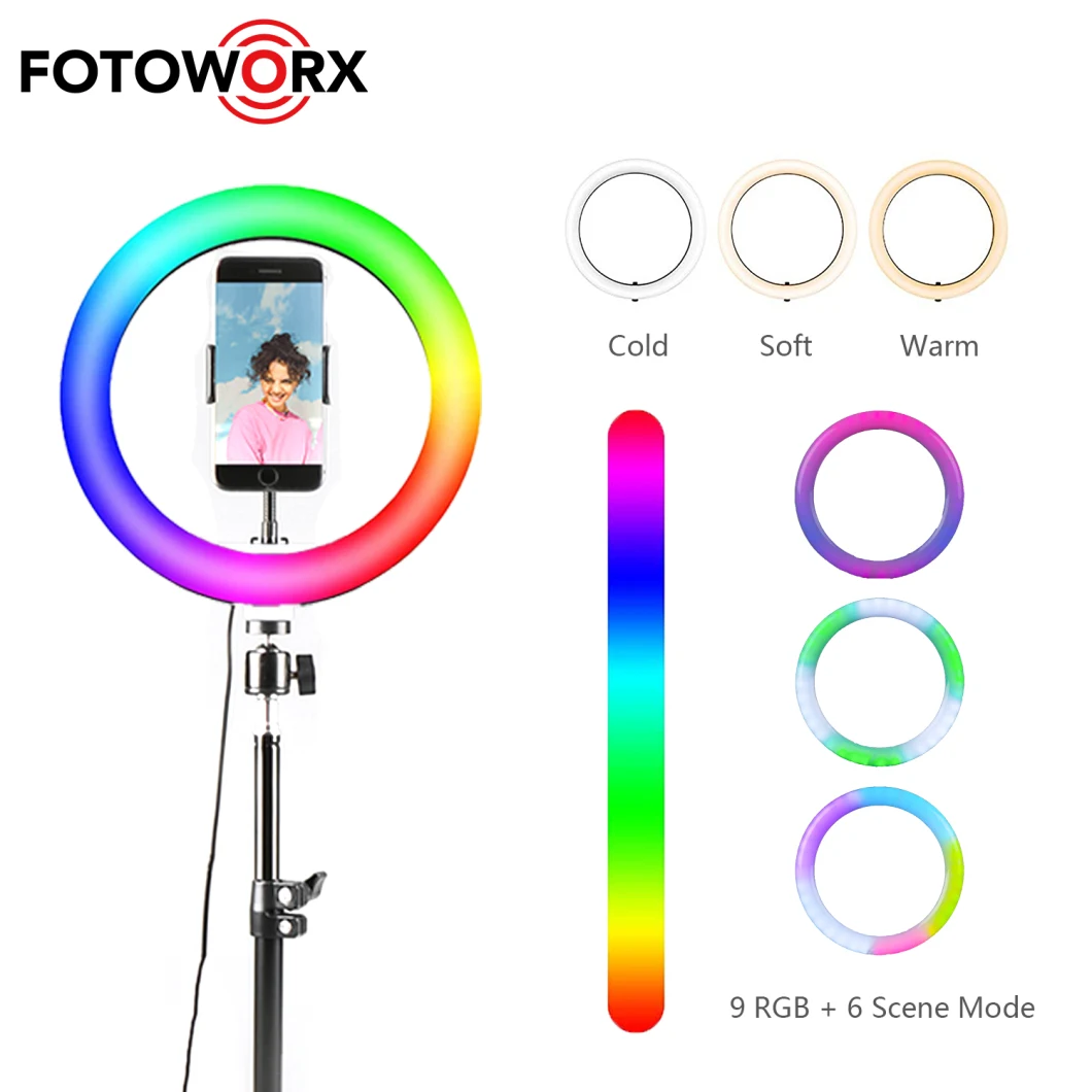 10 Inch RGB Ring Light with Phone Holder USB Powered