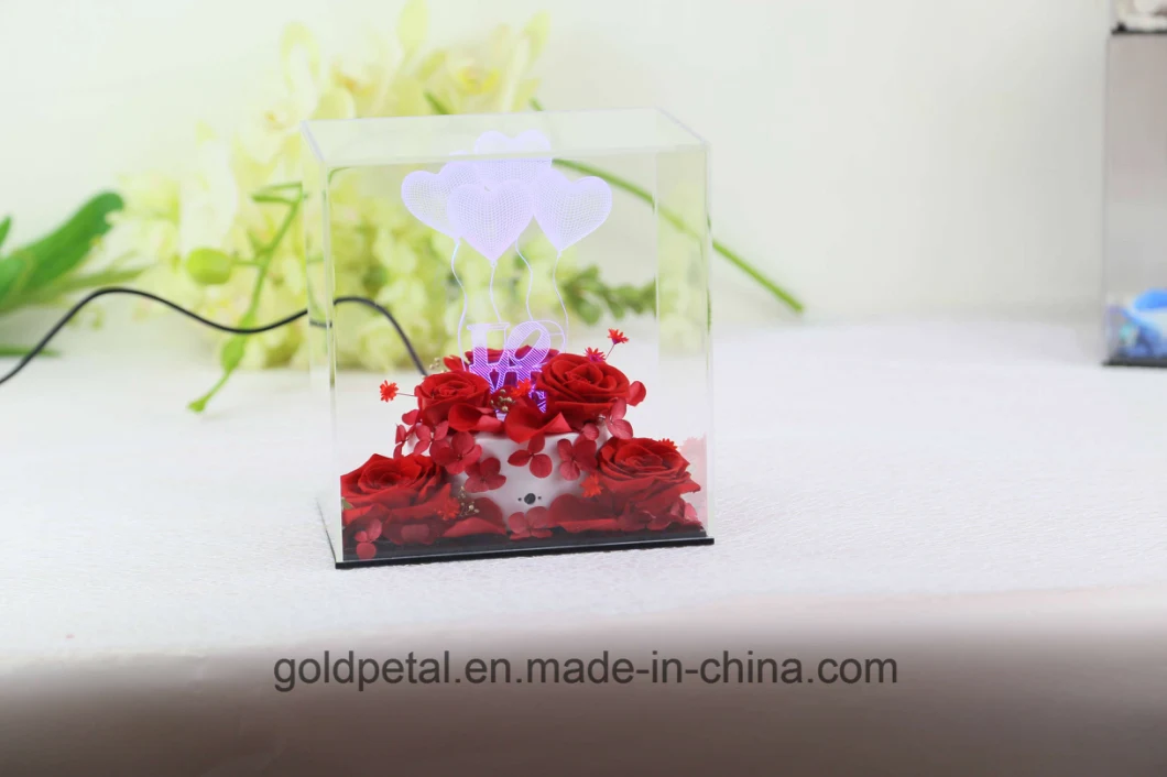 Valentine&prime;s Day Christams Gift 3D Acrylic Light Night Lamp Scene with Preserved Flowers