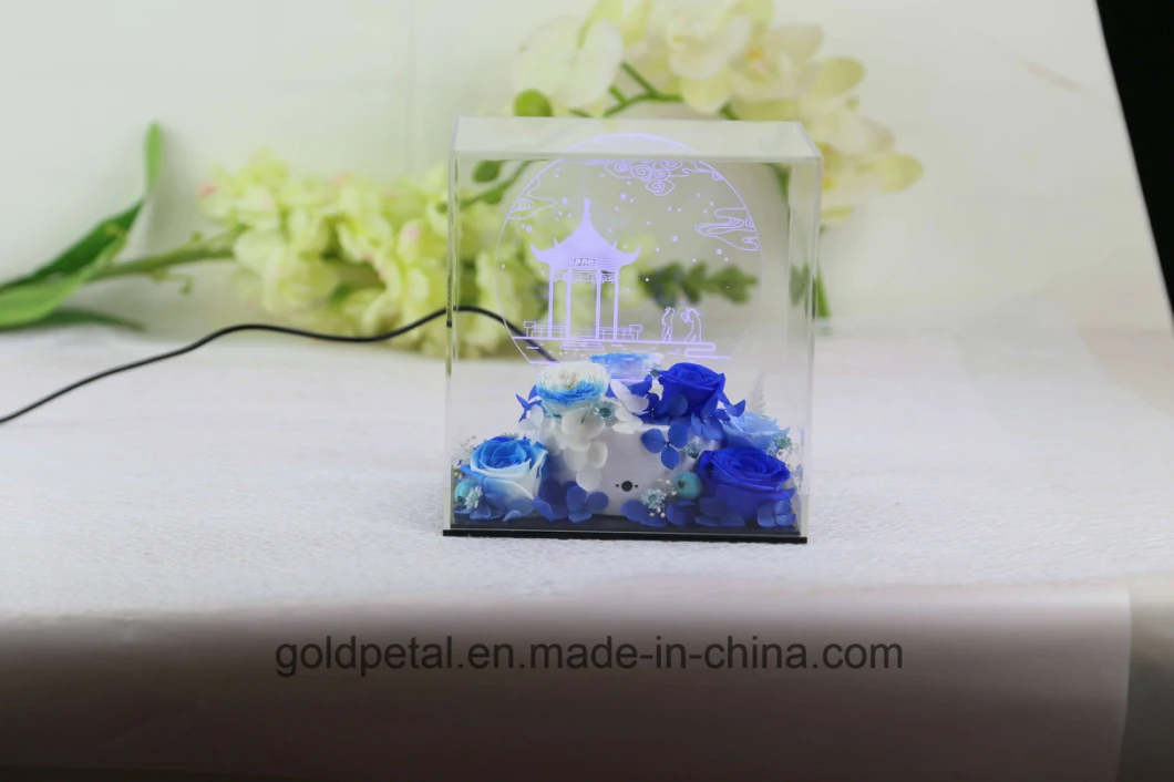Valentine&prime;s Day Christams Gift 3D Acrylic Light Night Lamp Scene with Preserved Flowers