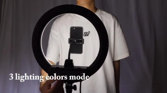 10 Inch RGB Ring Light with Phone Holder USB Powered